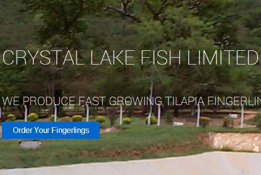 Crystal Lake fish Limited