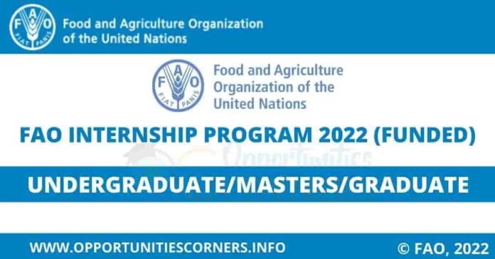 FAO Internship Program 2022