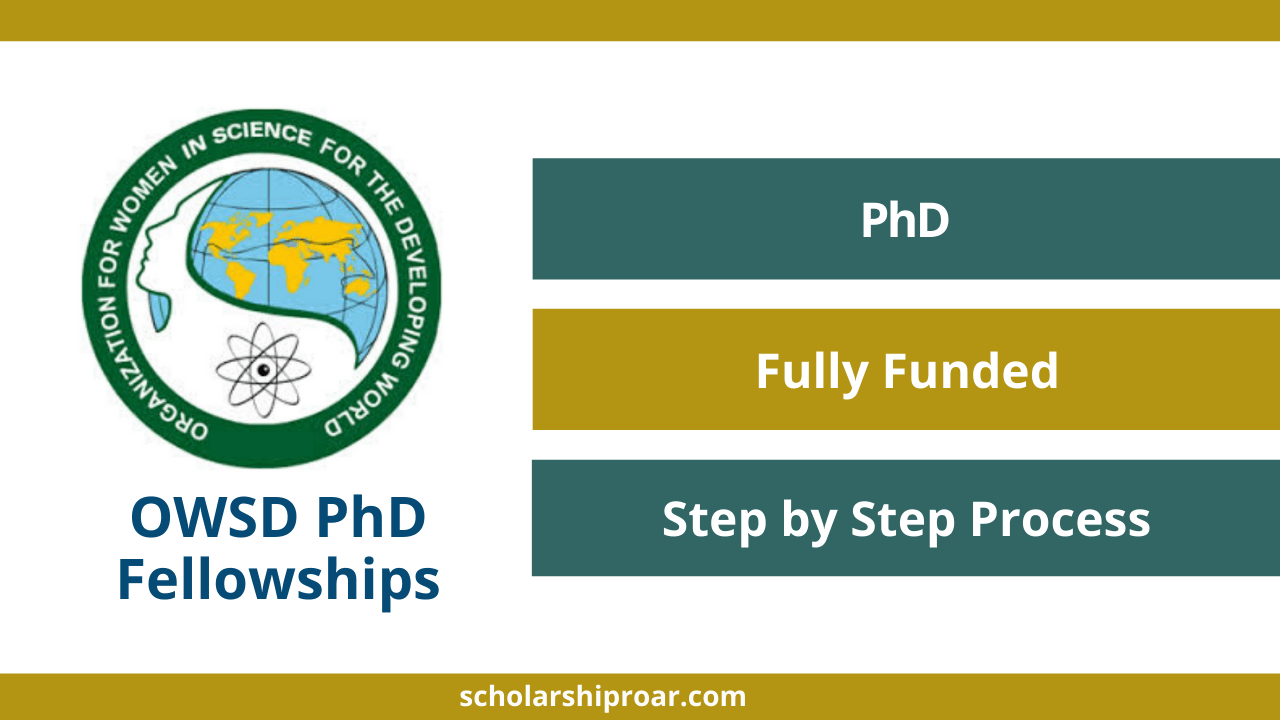 what is a phd fellowship program