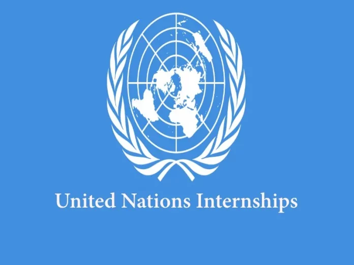 United Nations (UNDP) internships