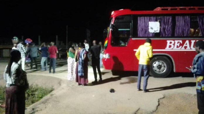 VIP Bus
