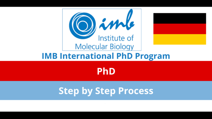 IMB International PhD Program
