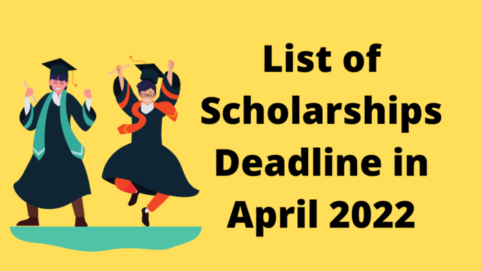 scholarship opportunities
