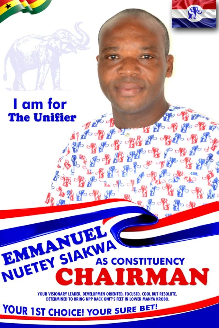 Manya Krobo Constituency