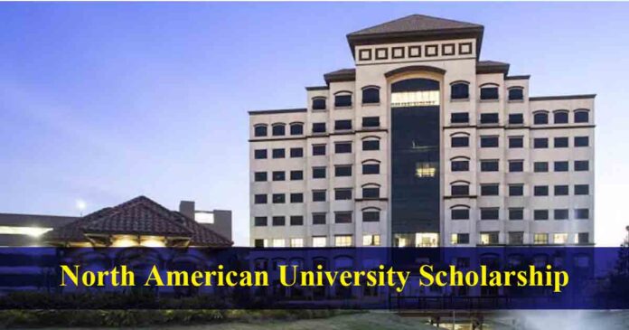 NORTH AMERICA SCHOLARSHIPS
