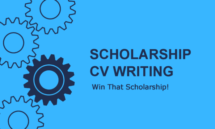 CV for Scholarship Application