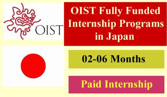 OIST Internship in Japan