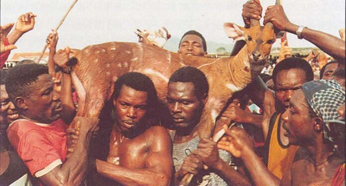 Aboakyer Festival 2022: Cheap hotels available in Winneba