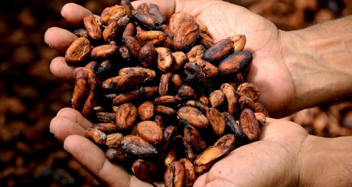 African countries that produce cocoa in large quantities