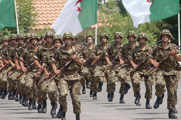 Algerian Army 