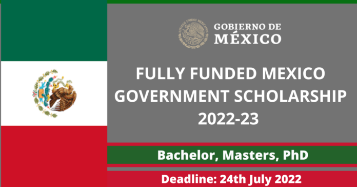 Mexico Government Scholarship