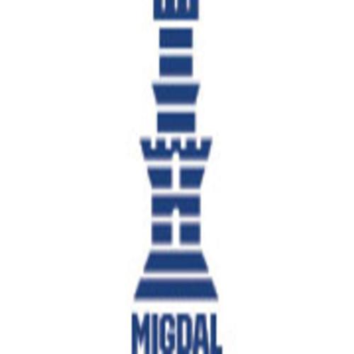 Migdal Holdings (Israel)