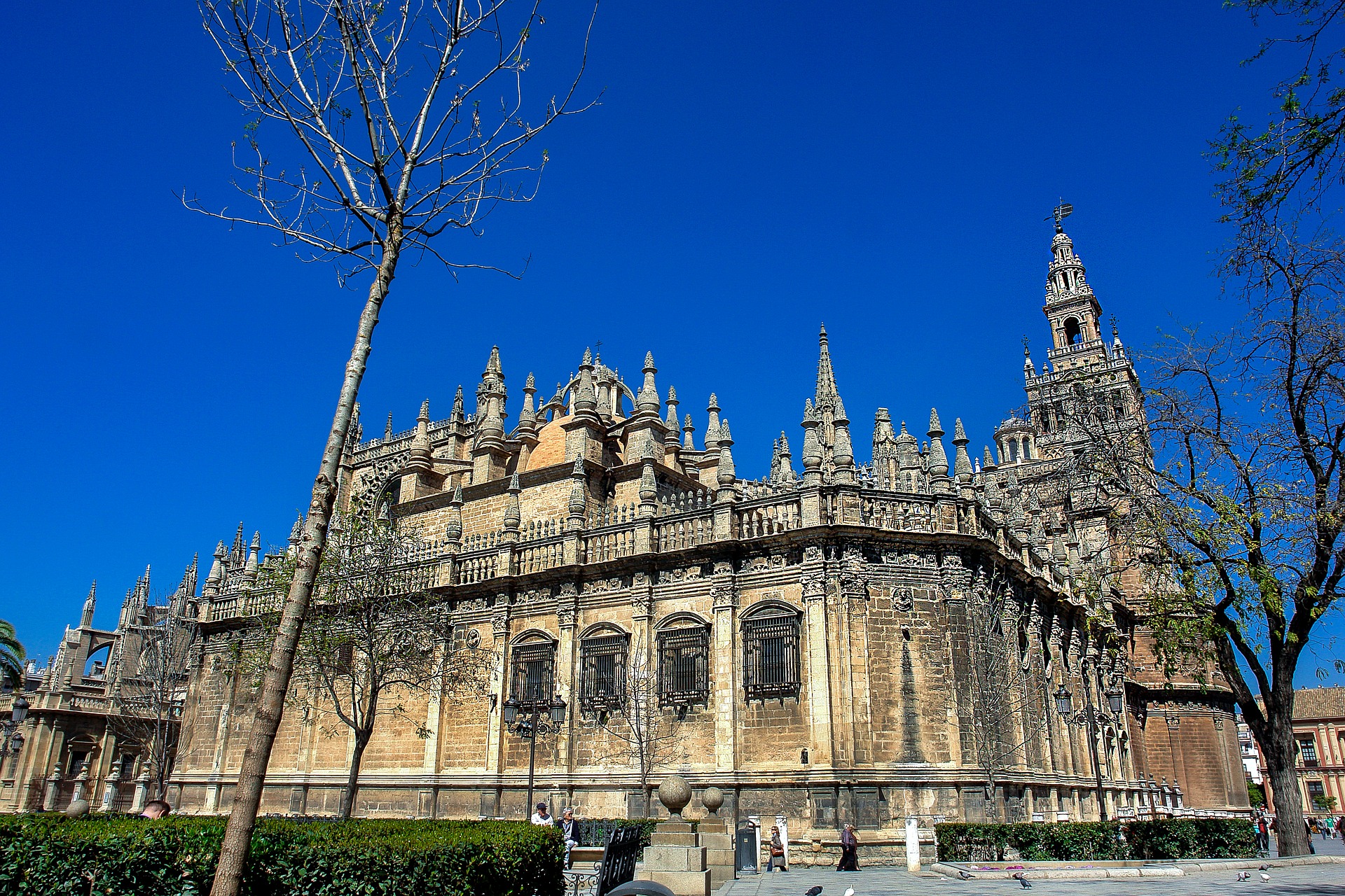THE SEVILLE CATHEDRAL