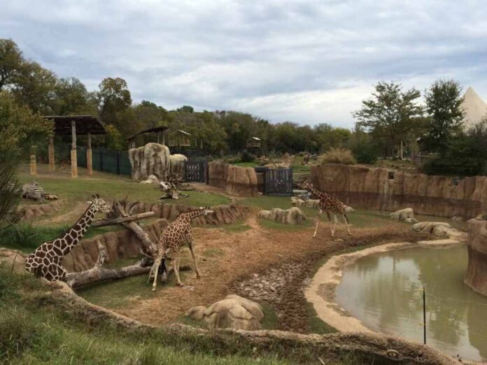 TOP 5 BIGGEST ZOOS IN AFRICA
