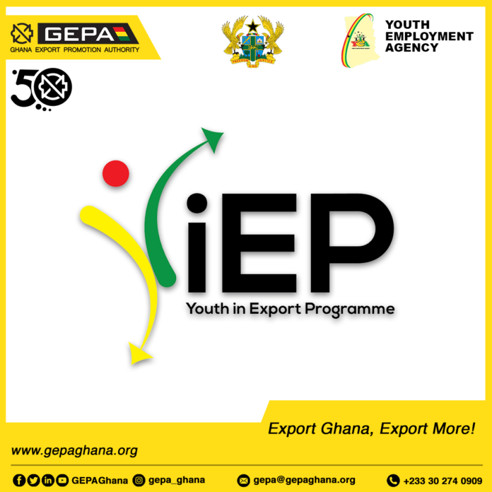 Youth in Export Programme