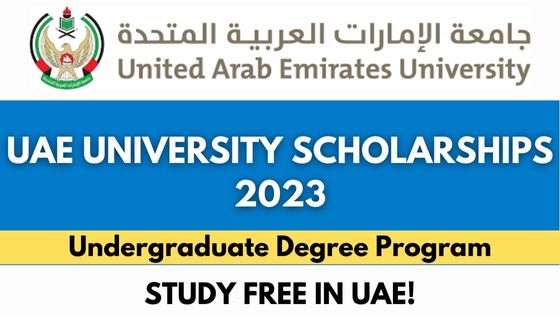 2023 UAE University Undergraduate Scholarship