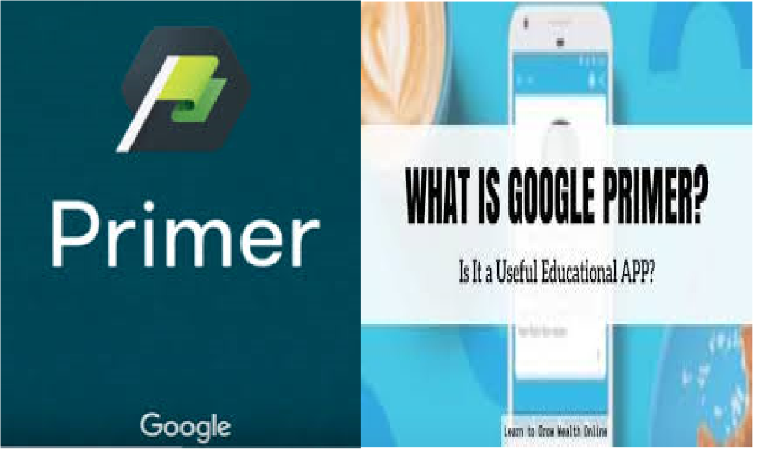 How Entrepreneurs Can Use The Google Primer App To Grow Their Businesses