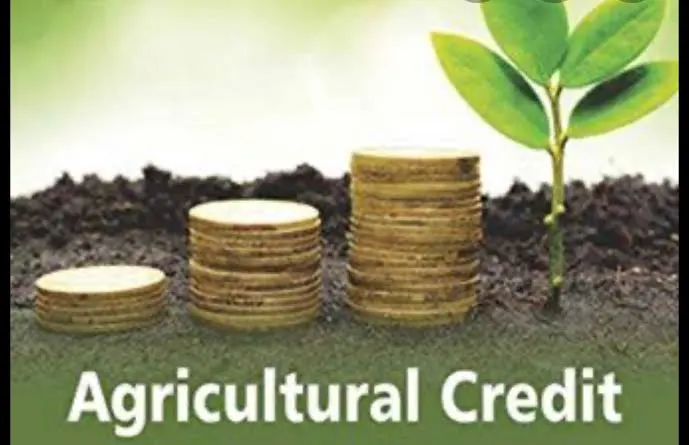 Institutional Credit in farming