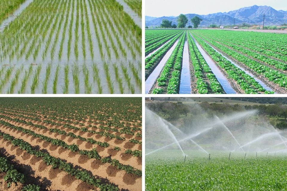Irrigation method in farming