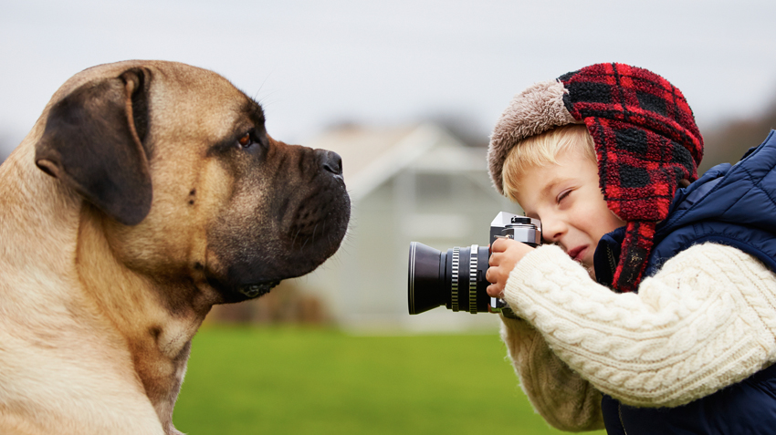 Pet Photography