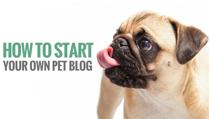 Start a Pet Blog