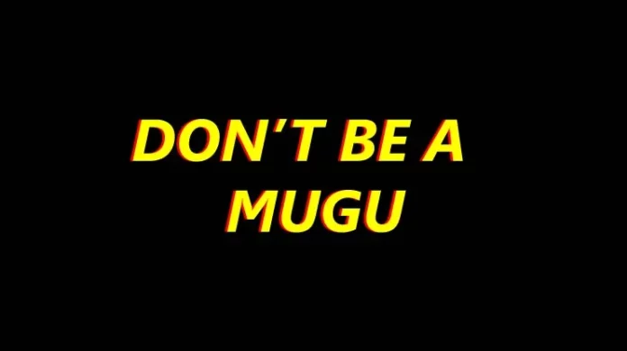 Tricks that MTN Mobile Money Fraudsters use to steal/hack your money