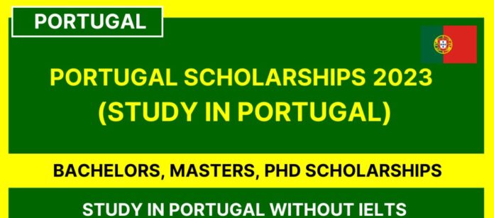 Scholarships in Portugal