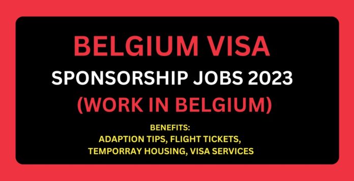Belgium Government Visa Sponsorship Jobs