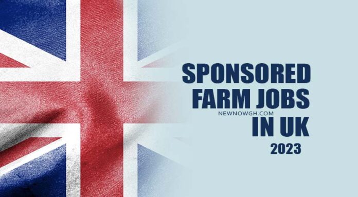 2023 UK Farm Visa Sponsorship