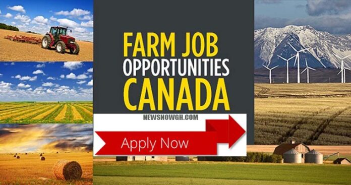Farm Jobs in Canada