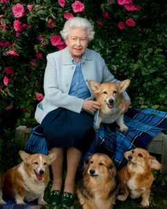 Queen Elizabeth Pet