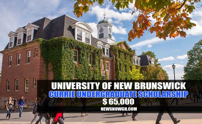 Currie Undergraduate Scholarships
