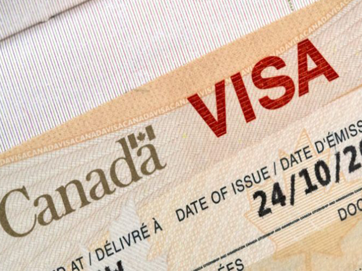 How Canadian visa loks