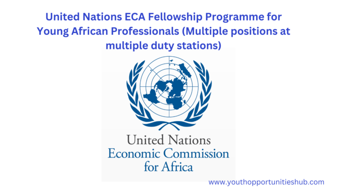 ECA Fellowship for Young African Professionals,