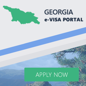 georgia visit visa online