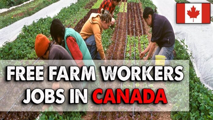 CANADA FARM WORKERS PROGRAM