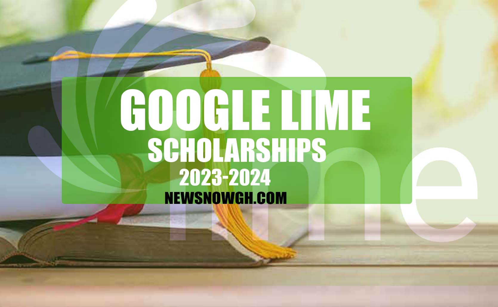 20232024 Google Lime Scholarship