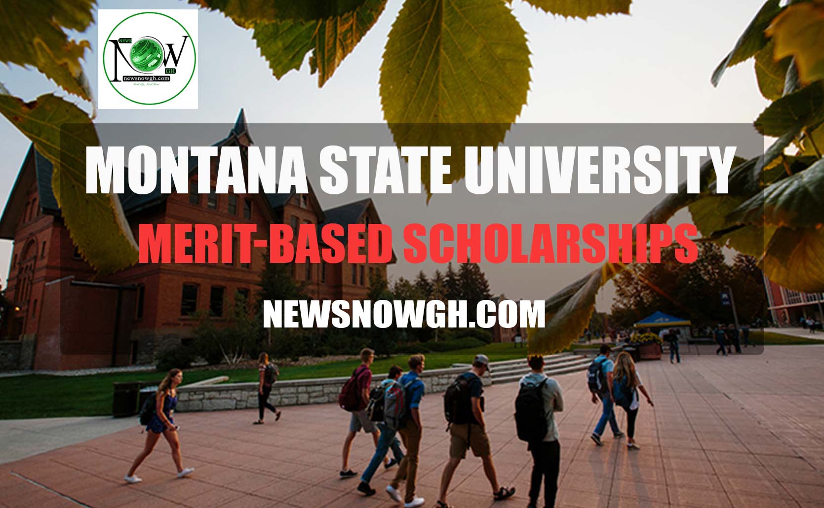 202324 International Undergraduate MeritBased Scholarships at Montana