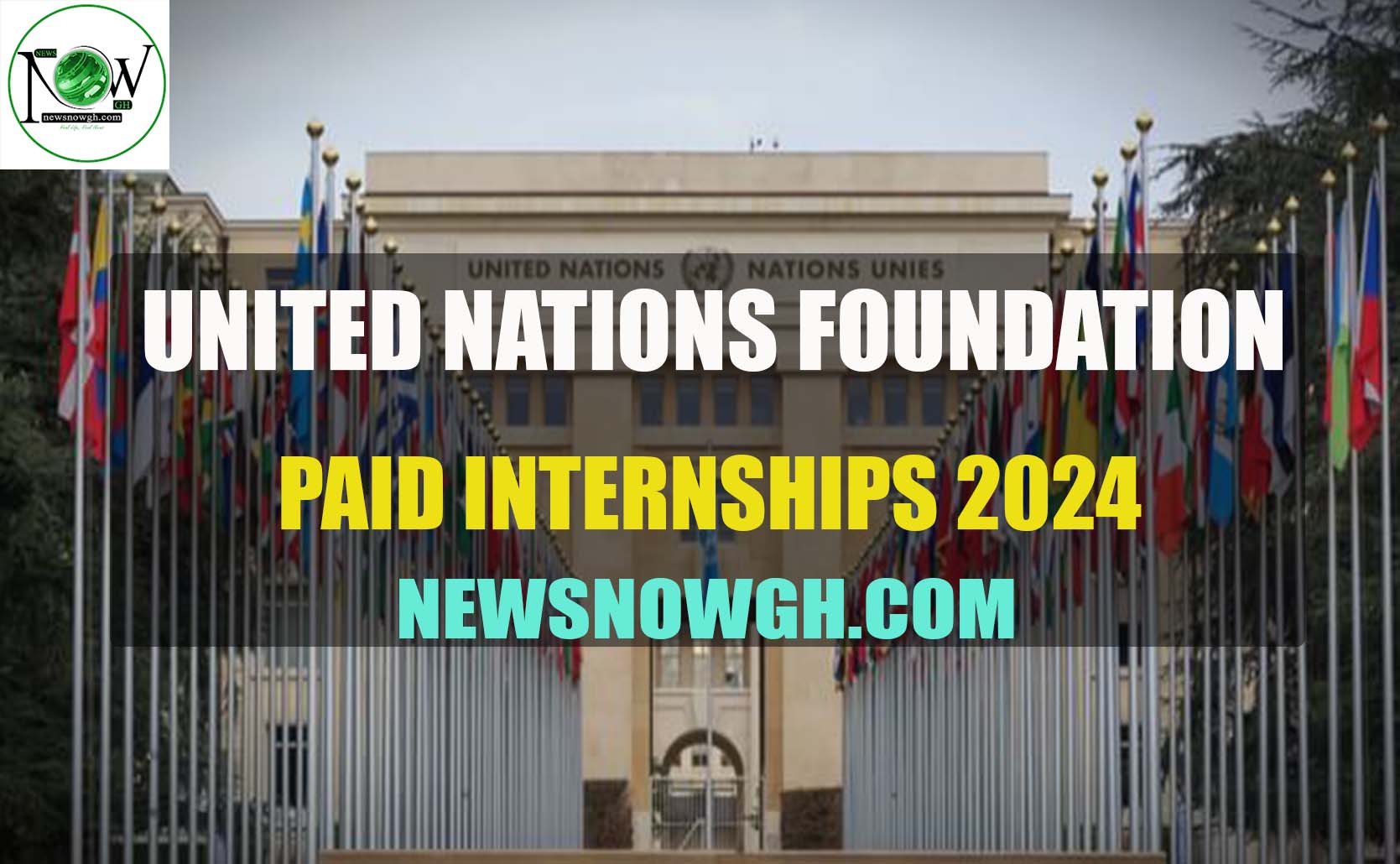 2024 United Nations Foundation Paid Internships