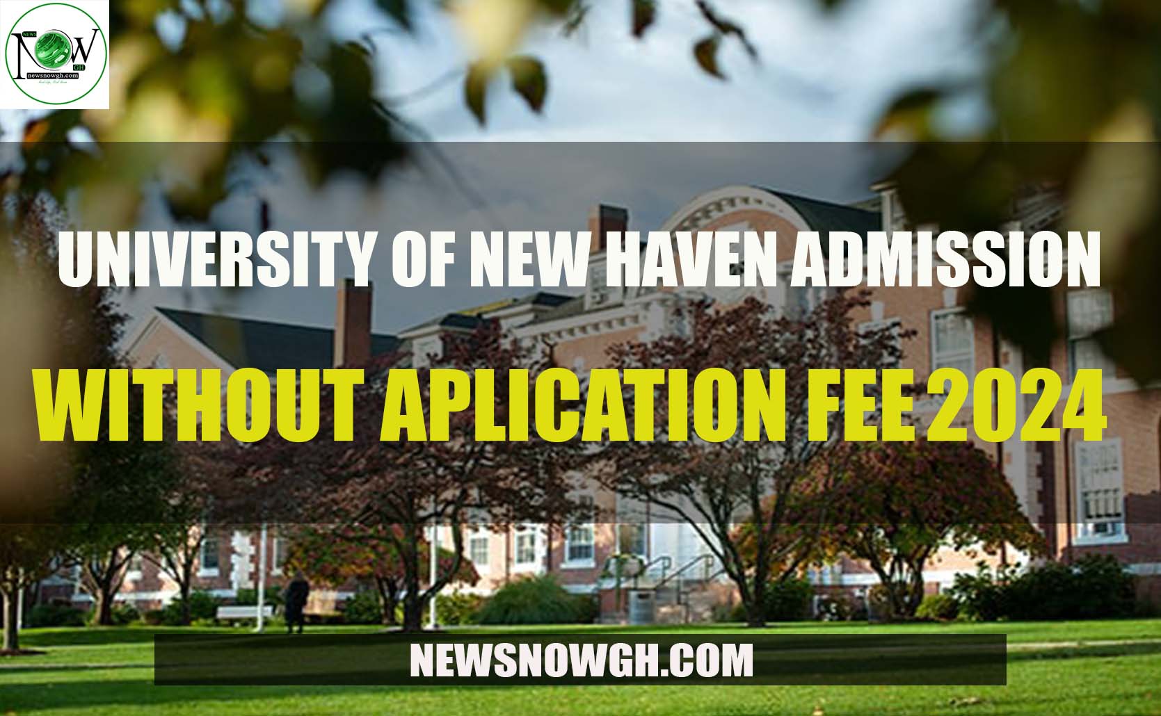 University of New Haven admissions without application fee for 2024