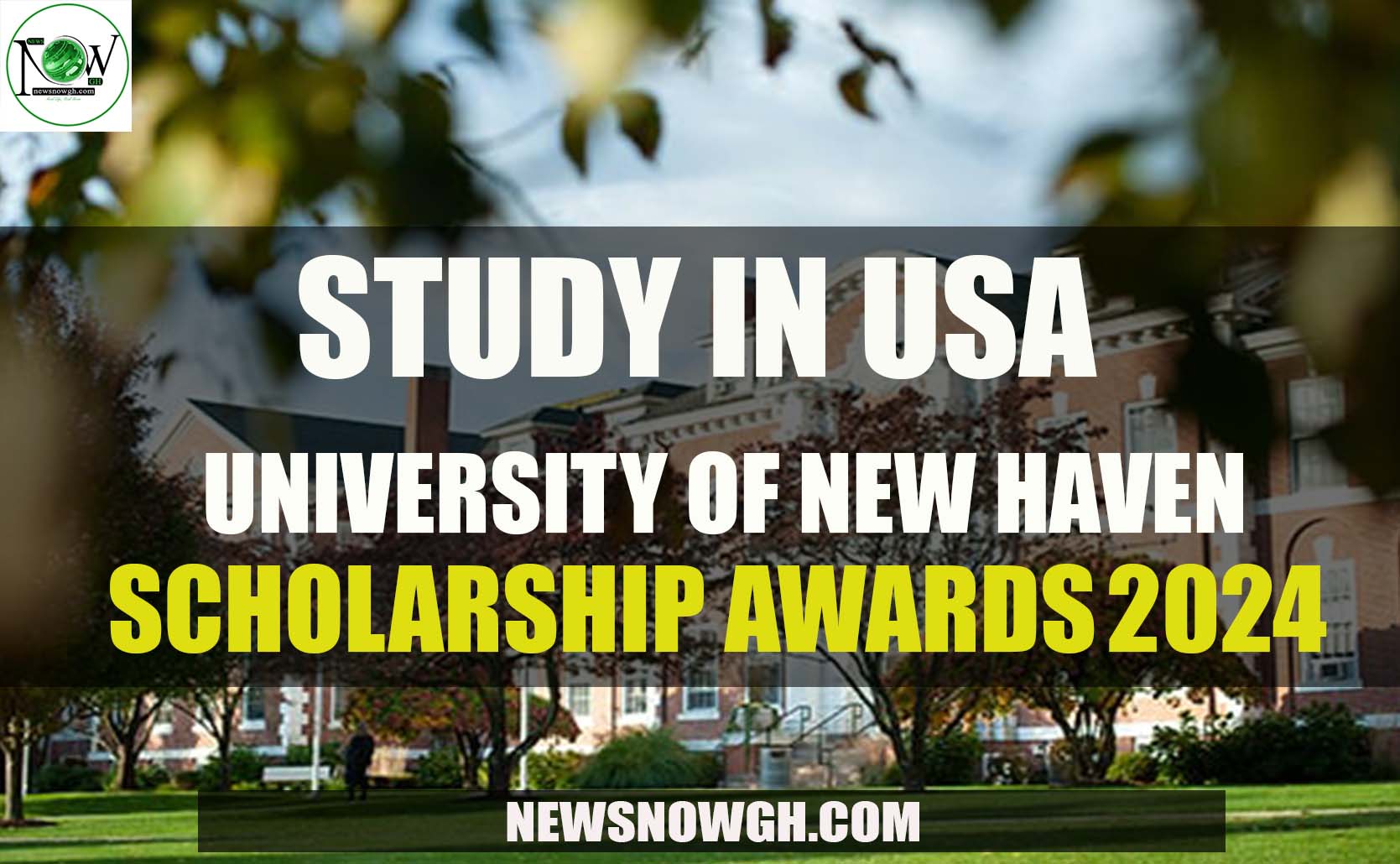 Study In USA University of New Haven Scholarships 2024