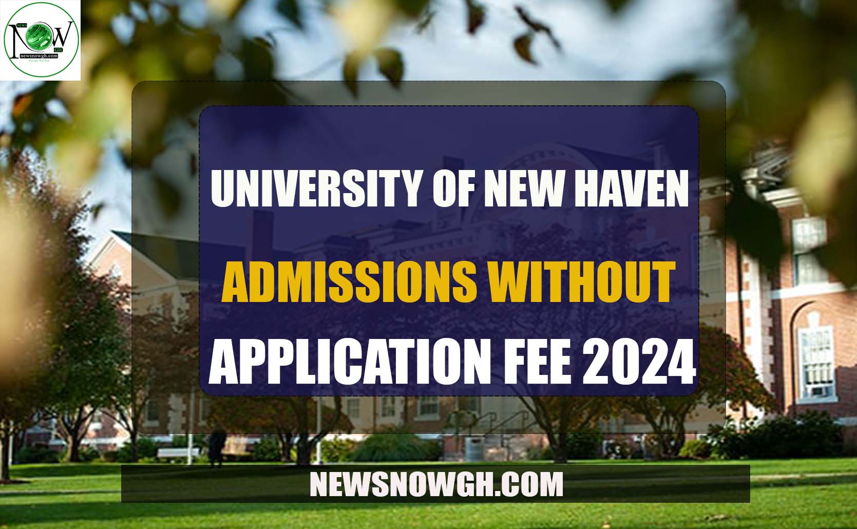 University of New Haven admissions without application fee 2024