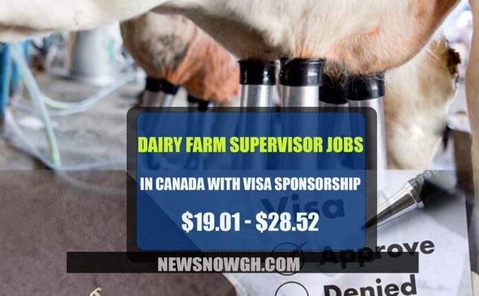 Dairy Farm Supervisor Jobs