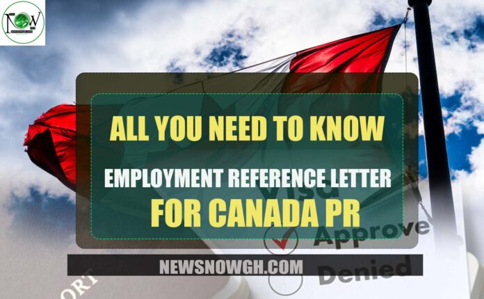 Employment Reference Letter