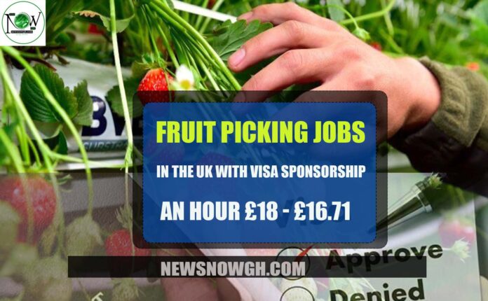 UK Fruit Picking Jobs