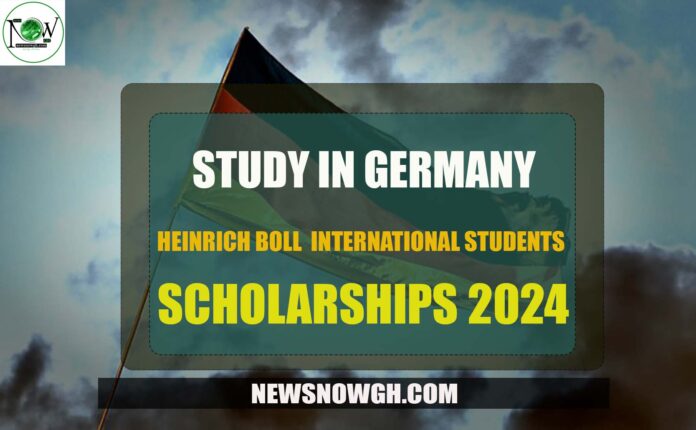Heinrich Boll International Students Scholarship