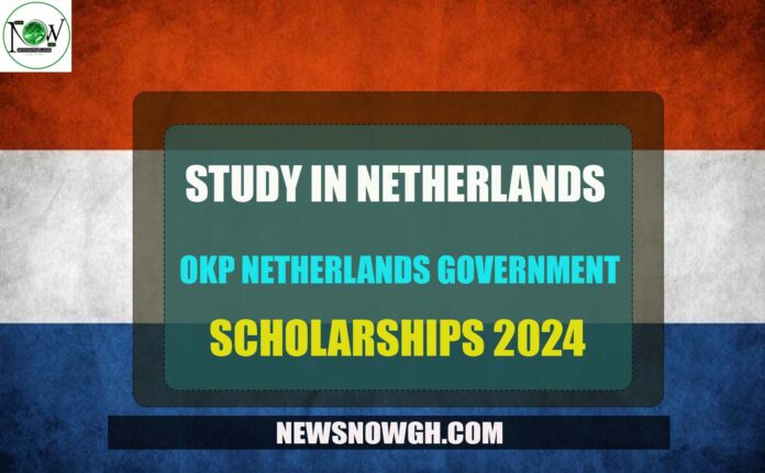 OKP Netherlands Government Scholarship