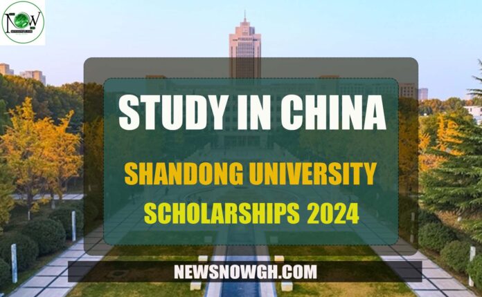 Shandong University Scholarships