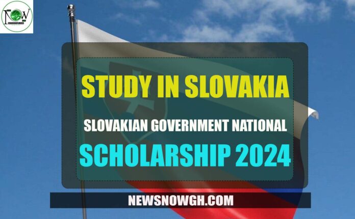 Slovakian Government National Scholarship
