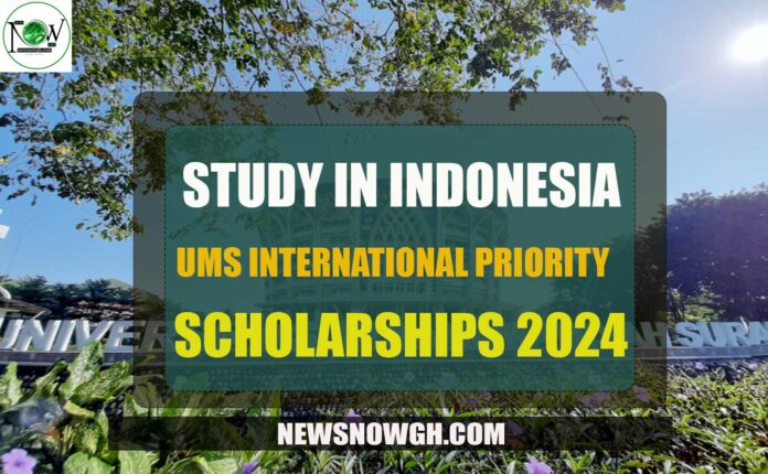 UMS International Priority Scholarship